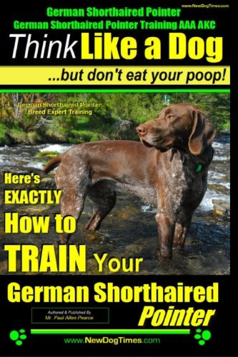 German shorthaired pointer - german,