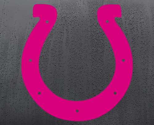Horse shoe funny - horse, rude