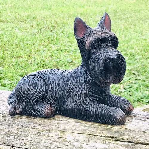 Laying scottie dog indoor - scottie,