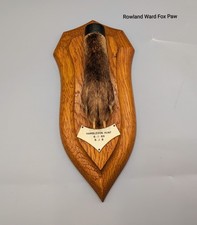 Rowland Ward Fox Paw, Skulls