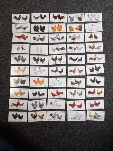 Player cigarette cards - player's,