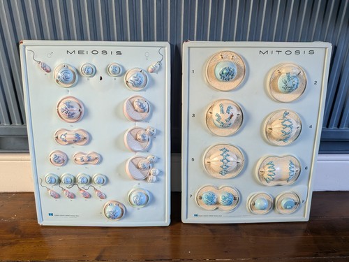 Hubbard scientific biology - scientific,