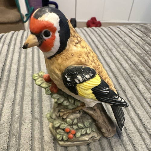 Beautiful birds collection - birds,