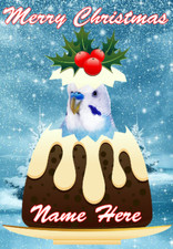 pnc792 Blue Budgie xmas