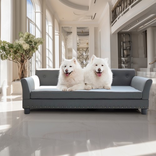 Luxury raised dog couch wide - dog,