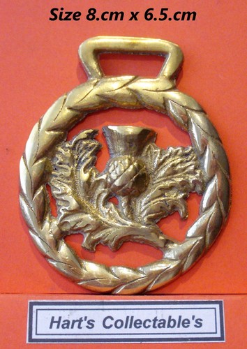 Vintage english horse brass - english,