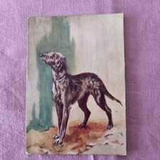 Postcard - The Deerhound (DE RESZKE Cigarettes No 20 of 30) Unposted