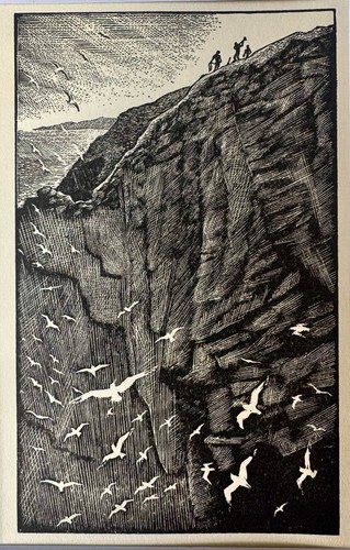 Vintage wood engraving print - ,