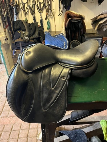 Complete wow saddle - wow,