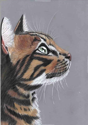 Original colour pencil artwork
