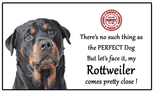 Rottweiler lovers dog gift - rottweiler,