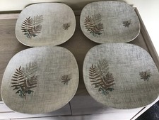 MEAKIN ROCK FERN 4 x SIDE