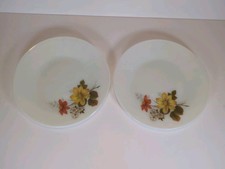 Vintage JAJ Pyrex Autumn Glory