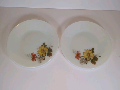 Vintage jaj pyrex - vintage, autumn