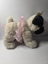 New with snuggles - snuggles, pug