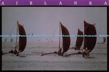 D036298 Airlanka. As Many as 1. 000. of These Outrigger Canoes Called Oru. Airma