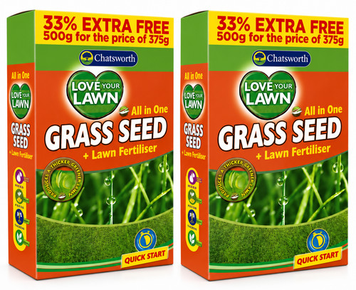 Grass seeds 500g - grass,