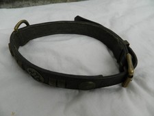 Antique Leather DOGS  / Show Livestock COLLAR with Clover Decoration - Irish?