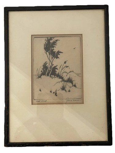 Vintage james swann - james,