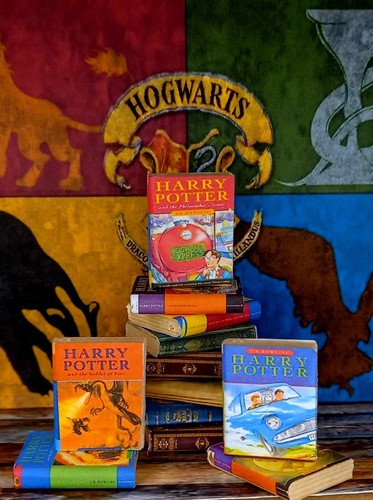 Harry potter little book - harry,
