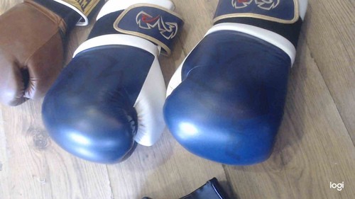 Rivals gloves used - 16, good