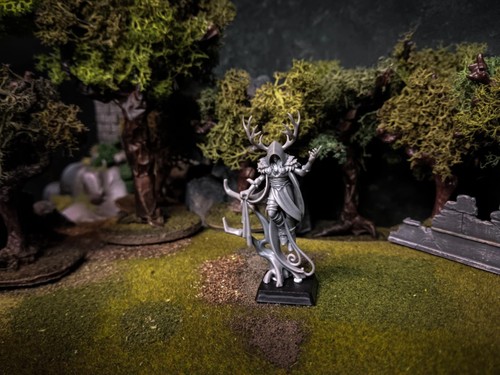 Highland miniatures feral - miniatures-,