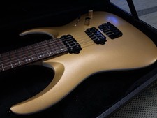 Ibanez RGA Custom Electric