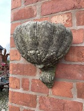 AGED RECONSTITUTED STONE VINTAGE GARDEN ACANTHUS STYLE WALL PLANTER PLAQUE