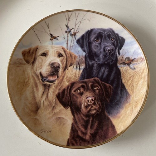 Danbury mint three labradors - mint,