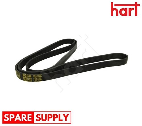 Ribbed belt for - v-ribbed,