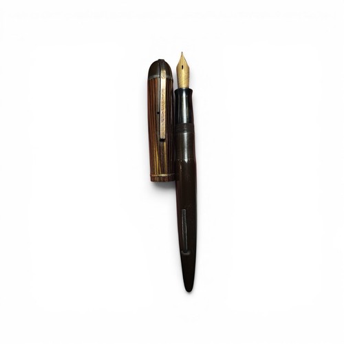 Vintage eversharp skyline - vintage,