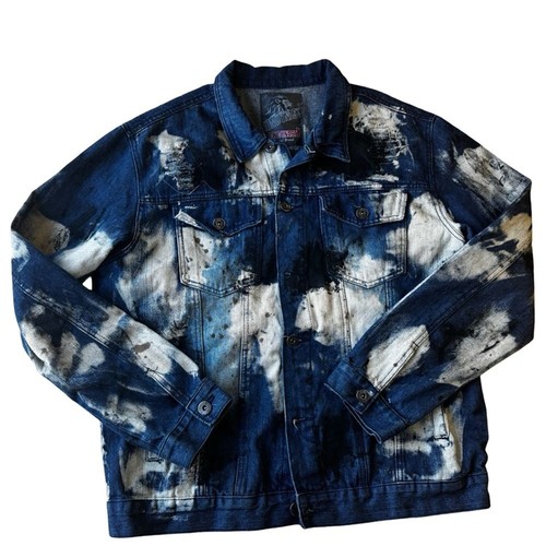 Lion dynasty paint splatter - lion,