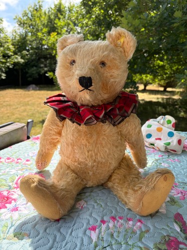 Steiff bear circ 1950 with - 1950,