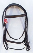 New Top quality Anatomic