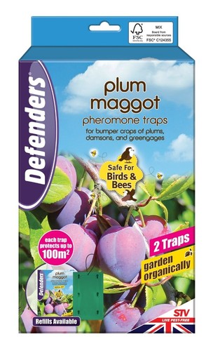 Defenders plum maggot - defenders,