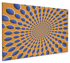 Optical Illusion Box Canvas
