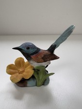 Purple-Backed Fairy Wren -