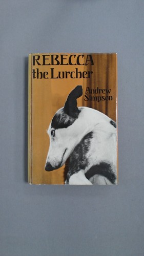 Rebecca the lurcher simpson - rebecca, lurcher,