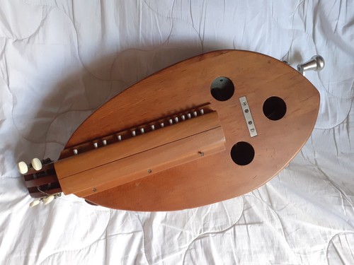Hurdy gurdy type instrument - gurdy,