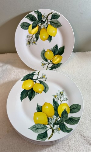Set royal norfolk - of, 10.5”
