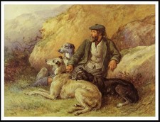DEERHOUND SCOTTISH GAMEKEEPER