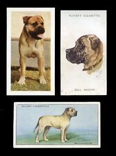 BULLMASTIFF DOG VINTAGE CIGARETTE & TRADE CARDS - collection of 3 all original