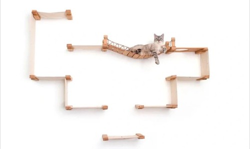 The temple giant cat tree - temple,
