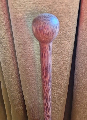 Antique vintage african palm - antique,