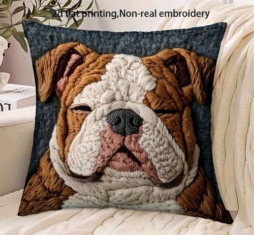 Beautiful english bulldog - 1,