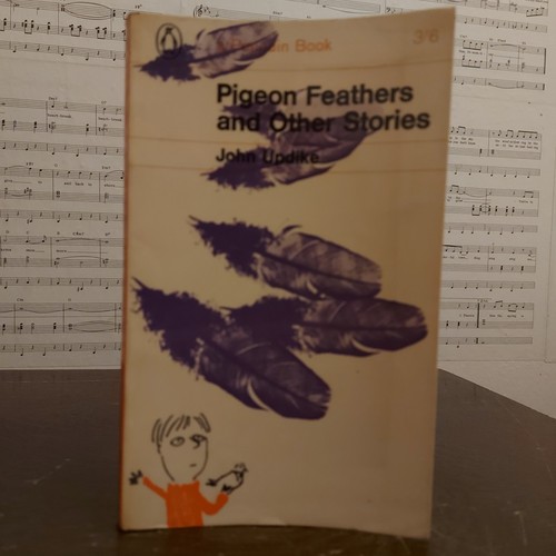 Pigeon feathers and other - feathers,