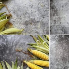 Selens 56x89cm 2 in 1 Seamless Backdrop 1pcs Concrete Wood Background Paper