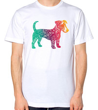 Colourful Jack Russell Dog