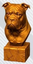 American bulldog bust - american,