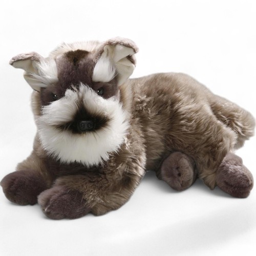Carl dick schnauzer - dick, terrier